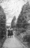 Avenue, Slade Tea Gardens, Saltash, Cornwall. c.1904