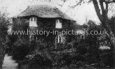 Apple Tree Cottage, Tea Gardens, St Stephen's, Saltash, Cornwall. c.1904