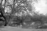 Warren Pond, Chingford, London. c.1912.