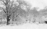Highams Park in Winter, Chingford, London. c.1910.