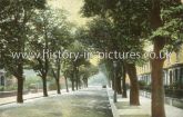 Chestnut Avenue, Forest Gate, London. c.1913.