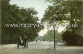 Whipps Cross Road, Leytonstone, London. c.1905