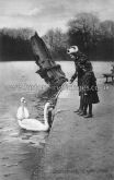 Feeding the swans, Eagle Pond, Snaresbrook, London. c.1912