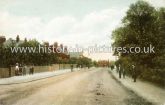 Cambridge Park, Wanstead, London. c.1911