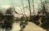 The Crooked Tree, Wanstead Park, Wanstead, London. c.1908