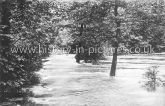 Floods In Wanstead Park, Wanstead, London. c.1905