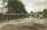 Whipps Cross, Chestnut Walk, Lea Bridge Road, Walthamstow, London. c.1906