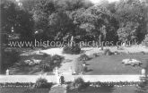 Lloyd Park from the Mansion, Walthamstow, London. c.1915