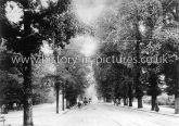 The Avenue, Southampton, Hampshire. c.1903
