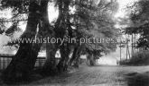 Cricketfield Lane, Bishops Stortford, Herts. c.1915