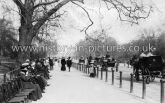 Hyde Park, London c.1904