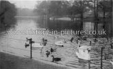 Regents Park, London. c.1910.