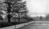 The Park, Enfield, Middlesex. c.1910