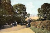 Maiden's bridge, Forty Hill, Enfield. c.1907