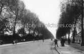 The Avenue, Finsbury Park, London. c.1910