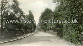 Woodberry Down, Stoke Newington, London. c.1909.