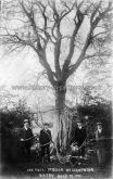 Oak Tree Struck by Lighting, Badby, Northants. May 21st 1910.