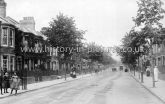 Adams Avenue, Northampton. c.1906