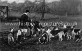 The Pytchley Hounds, Northamptonshire. c.1906