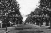 Avenue Road, St John's Wood, London. c.1906