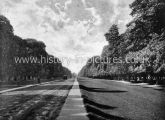 Chestnut Avenue, Bushey Park, Richmond. c.1890's