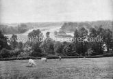 View from Richmond Hill. c.1890's