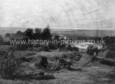 A View of High Beech, Looking West, Essex. c.1890's