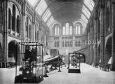 The Entrance Hall to the Natural History Museum, London. c.1890's.