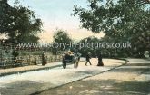 The Road, Bostal Woods, Abbey Woods, London. c.1910.