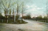 Woodside Green, South Norwood, London. c.1904.