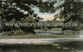 Entrance to Epping Forest, near Epping, Essex. c.1910