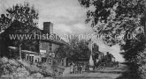 The Village, Wickhams Bishops, Essex. c.1905