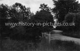 Hillside Stebbing, Essex. c.1916