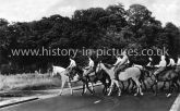 Horse Riding, Rangers Road, Epping Forest, Essex. c.1960's