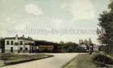 The Wake Arms, Epping New Road, Epping Forest, Essex. c.1912.