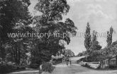 Nazeing Road near Waltham Abbey, Essex. c.1911