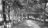 Old Roman Encampment, Ambersbury Banks, Epping Forest, Essex. c.1910's