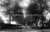 The Avenue, Westfields, Marden Ash, Ongar, Essex. c.1911