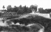Royal Oak Pond, High Beech, Epping Forest, Essex. c.1919