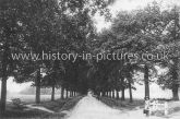 The Avenue, Theydon Bois, Epping, Essex. c.1918