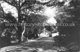 Avery Lane, High Beech, Epping Forest, Essex. c.1920's