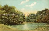 The Pond, Entrance to Forest, Epping Forest, Essex. c.1909