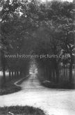 The Avenue, Stapleford Abbots, Epping Forest, Essex. c.1907