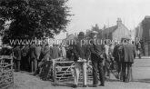 Cattle Market, Epping, Essex. c.1930's
