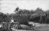 Connaught Waters, Epping Forest, Essex. c.1910