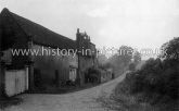 Luxborough Nursery, Luxborough Lane, Buckhurst Hill, Essex. c.1916