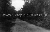 Monkhams Lane, Buckhurst Hill, Essex. c.1930's