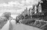 The Hill, Danbury Hill, Essex. c.1910