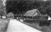 Mill Road, Felsted, Essex. c.1920's