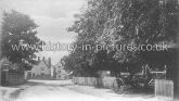Braintree Road, Felsted, Essex. c.1909.